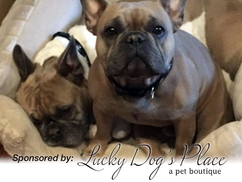 Farley & Rumble (brothers)
